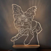 luxilumi-Personalized Photo Lamp